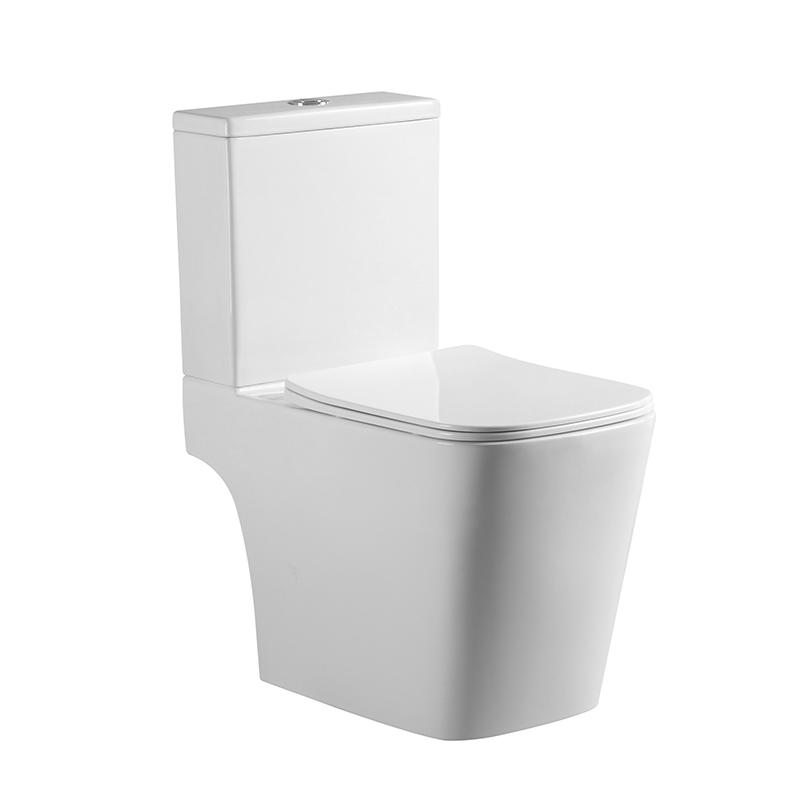 Bacia sanitária com caixa acoplada - Saída Horizontal Fiume LUXO - Imagem 4
